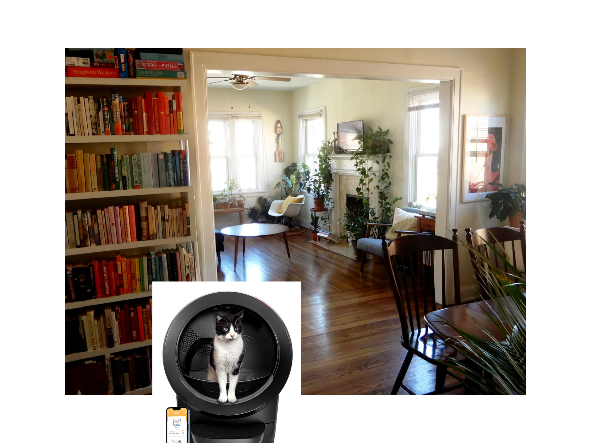925 Nassau Street